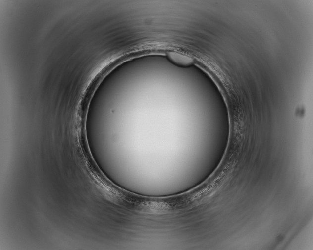 X0000101201119200806271344