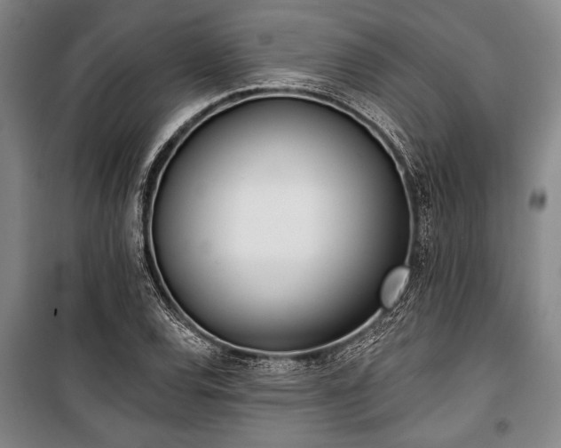 X0000101201120200806271344