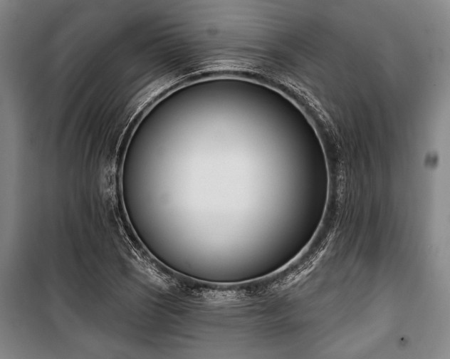 X0000101201121200806271344
