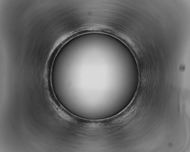 X0000101201122200806271344