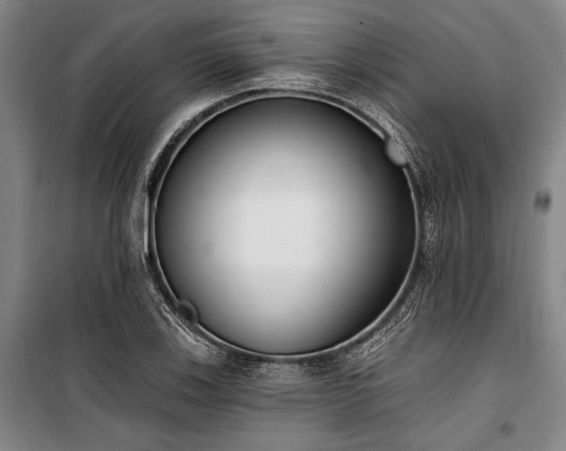 X0000101201123200806271344