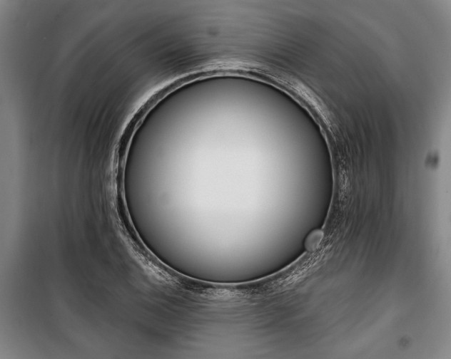 X0000101201124200806271344