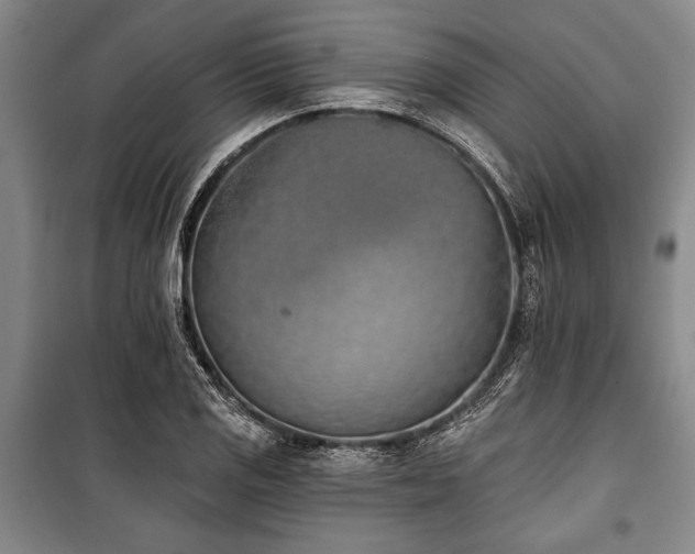 X0000101201125200806271344