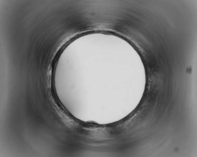 X0000101201126200806271344