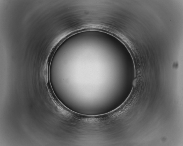 X0000101201127200806271344