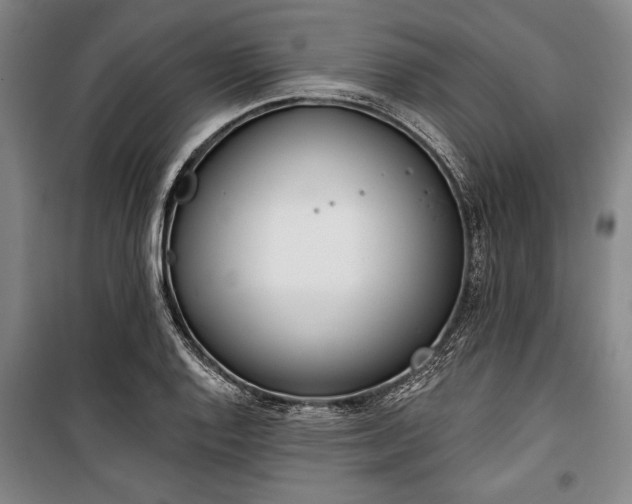 X0000101201128200806271344