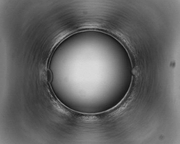 X0000101201129200806271344