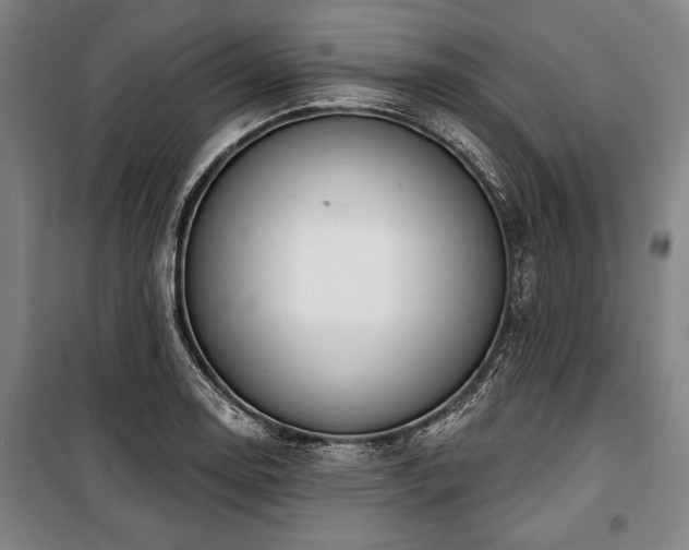 X0000101201130200806271344