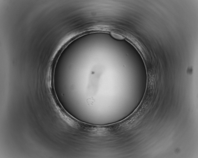 X0000101201131200806271344