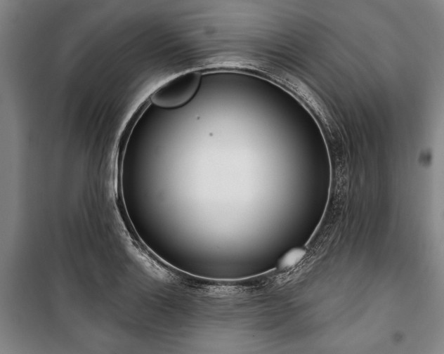 X0000101201132200806271344