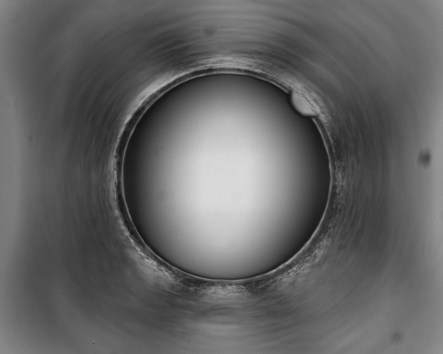 X0000101201133200806271344
