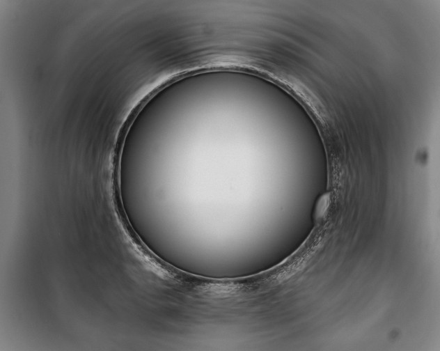 X0000101201134200806271344