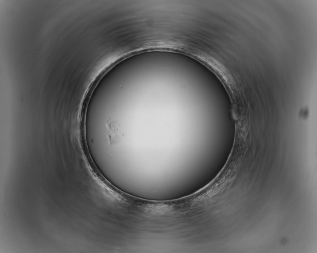 X0000101201135200806271345