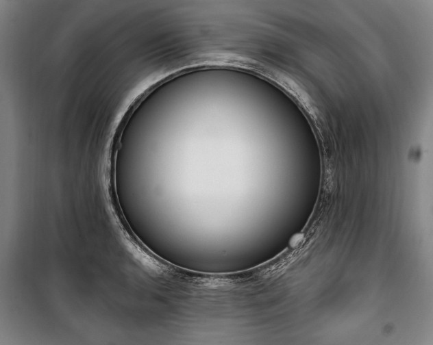 X0000101201136200806271345