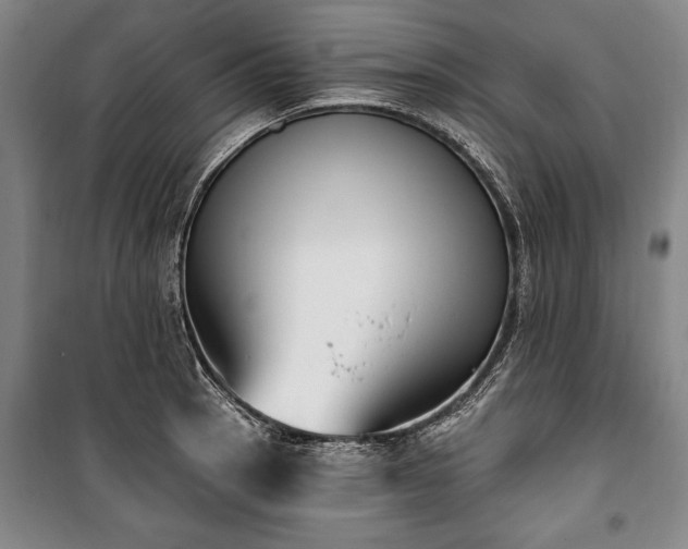 X0000101201137200806271345