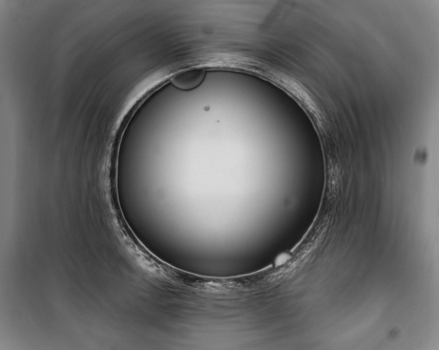 X0000101201138200806271345