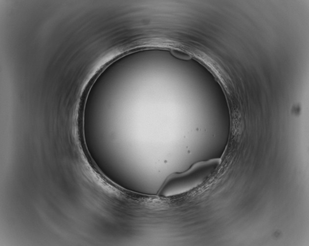 X0000101201139200806271345