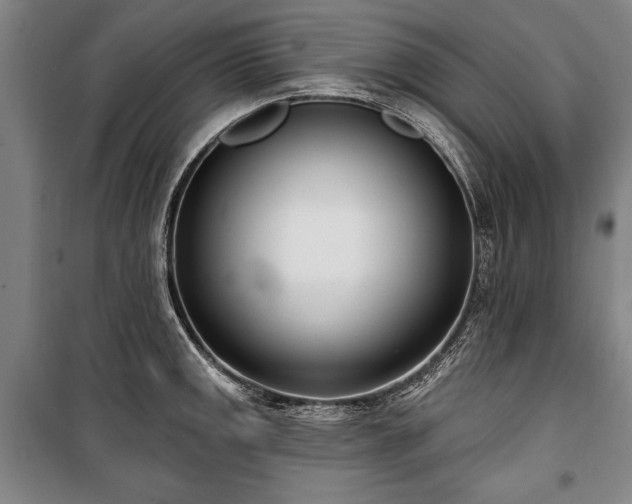 X0000101201141200806271345