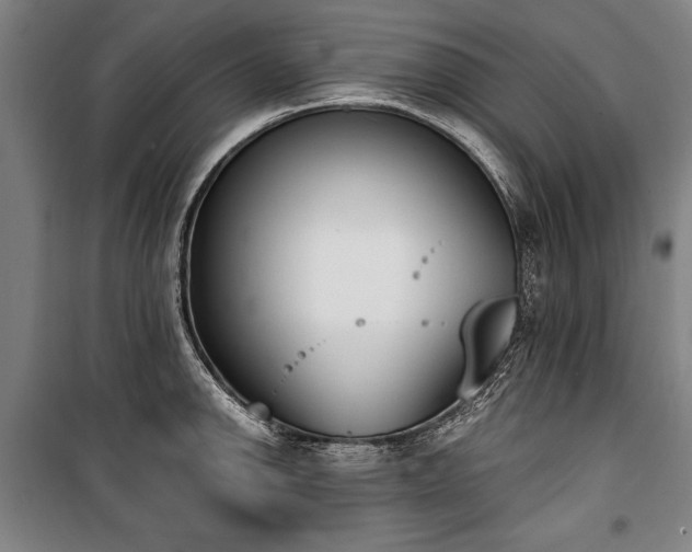 X0000101201142200806271345