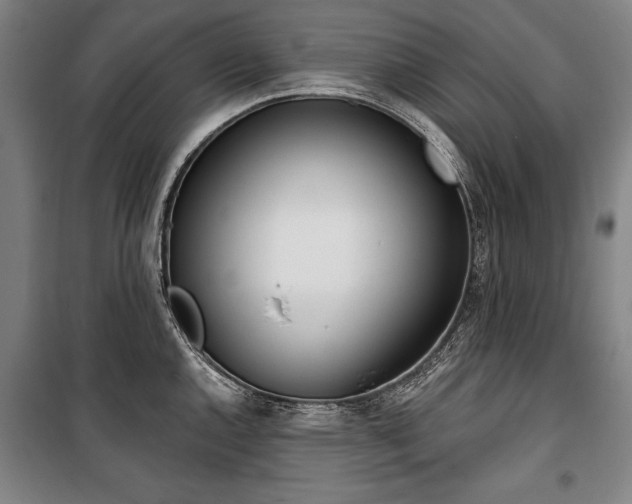 X0000101201144200806271345