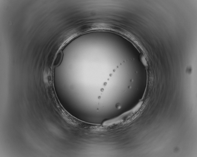 X0000101201145200806271345