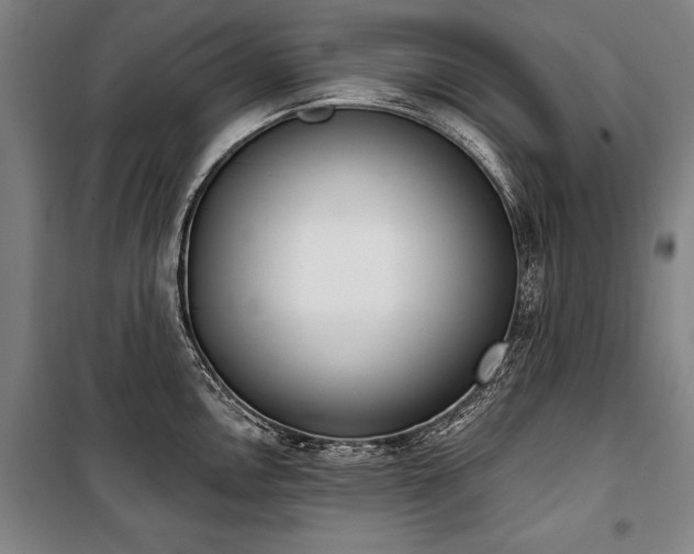 X0000101201146200806271345