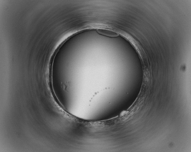 X0000101201147200806271345