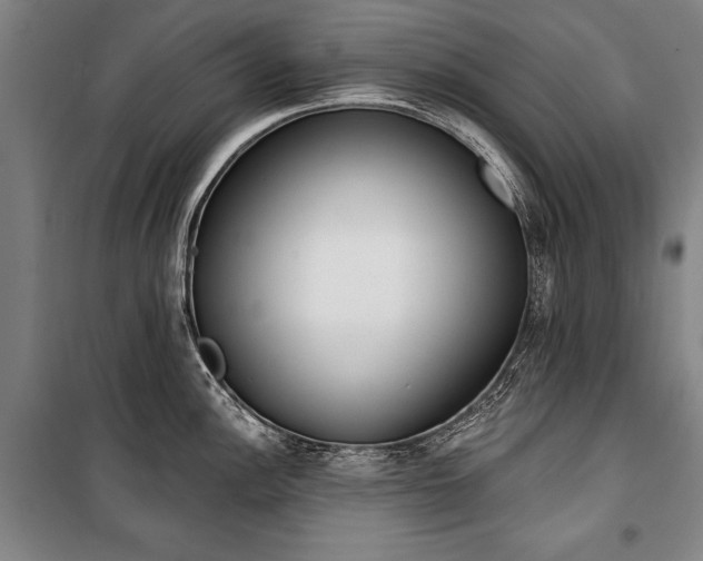 X0000101201148200806271345