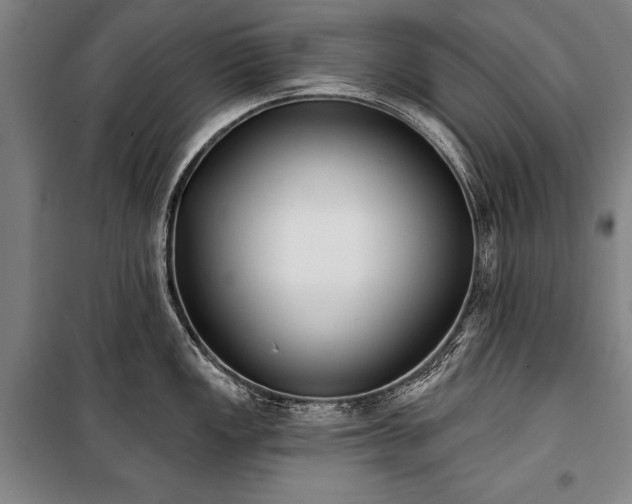 X0000101201149200806271345