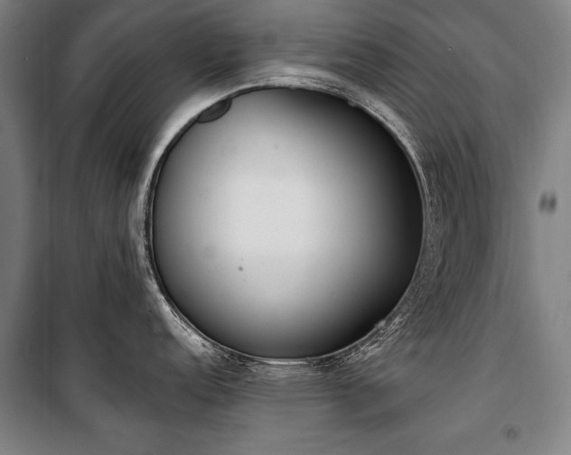X0000101201152200806271345
