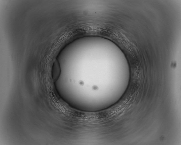 X0000101201153200806271344