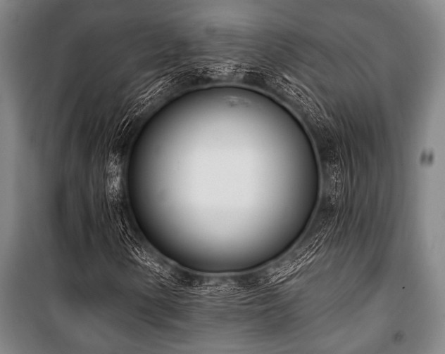 X0000101201154200806271344