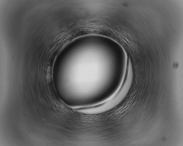 X0000101201156200806271344