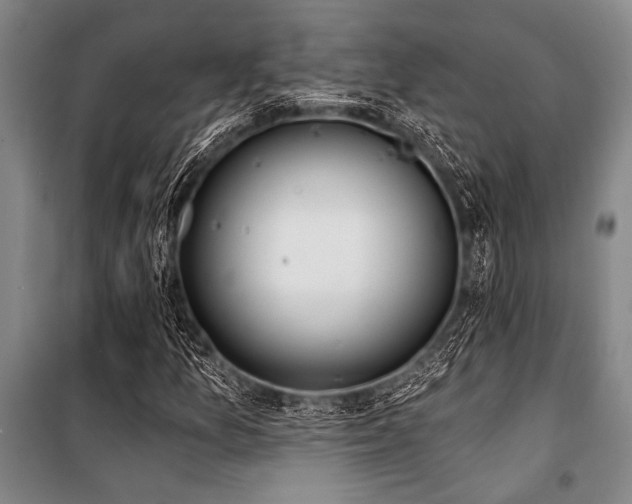 X0000101201157200806271344