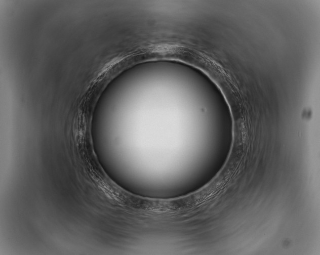 X0000101201158200806271344