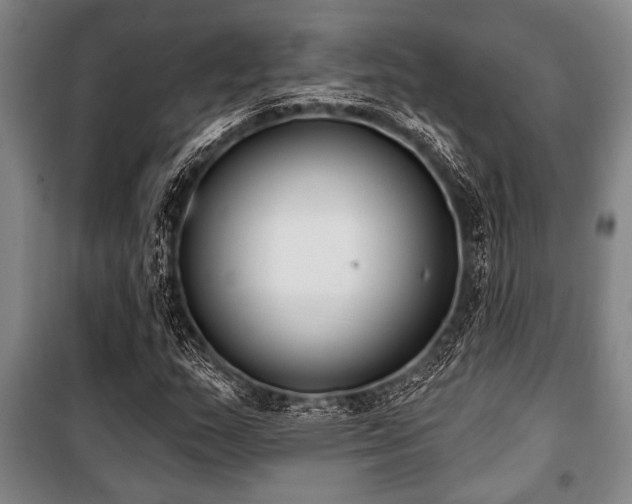 X0000101201159200806271344