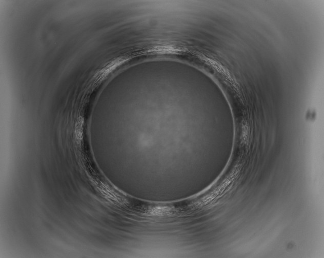 X0000101201161200806271344