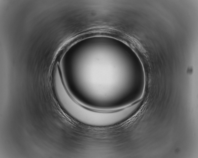 X0000101201164200806271344