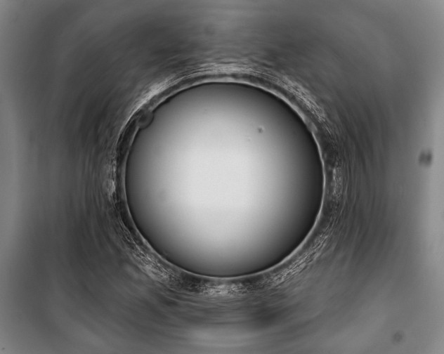 X0000101201165200806271344