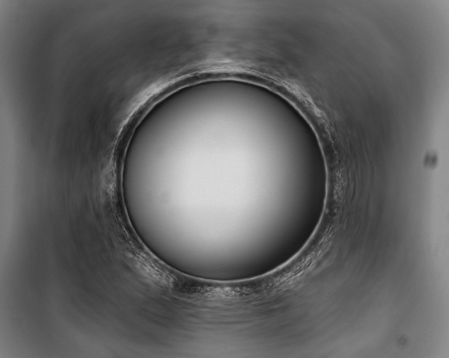 X0000101201167200806271344