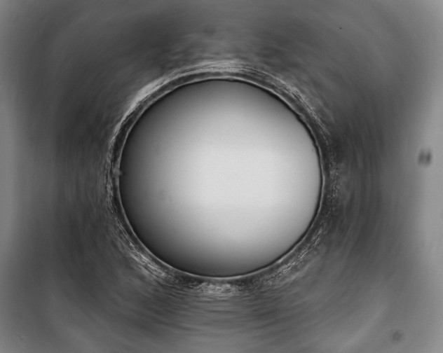 X0000101201168200806271344