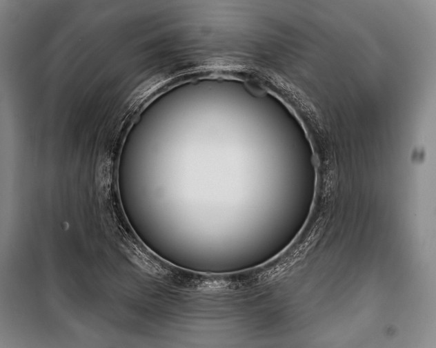 X0000101201169200806271344