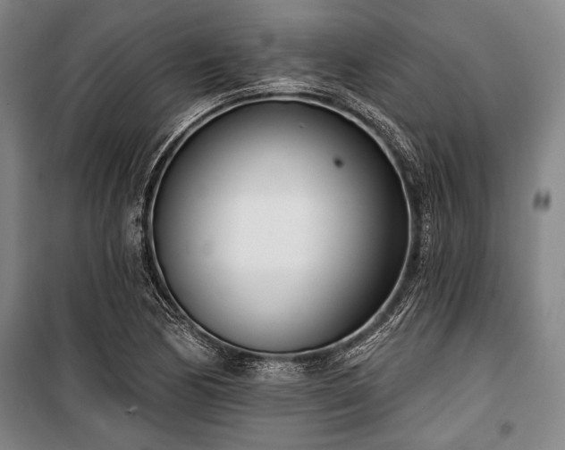 X0000101201170200806271344