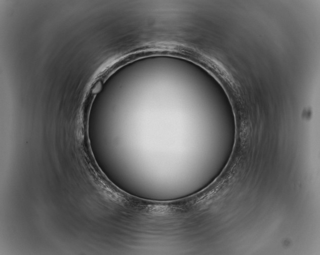 X0000101201172200806271344