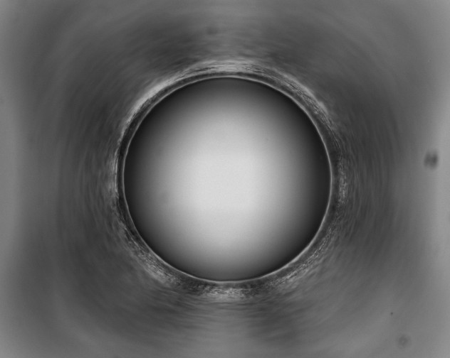 X0000101201174200806271344