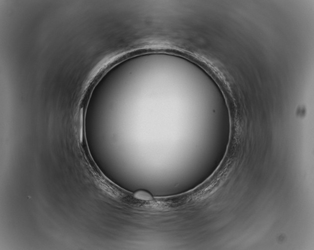 X0000101201175200806271344