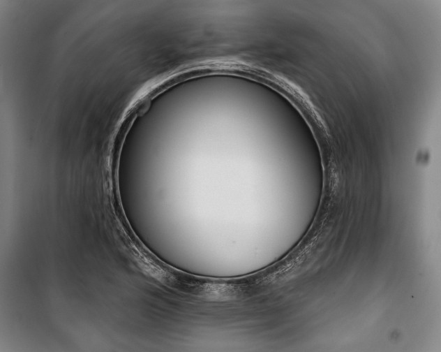 X0000101201176200806271344