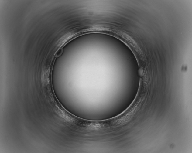 X0000101201177200806271344