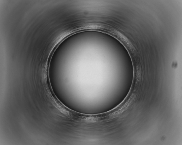 X0000101201178200806271343