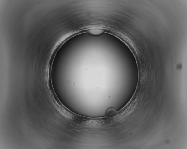 X0000101201179200806271343